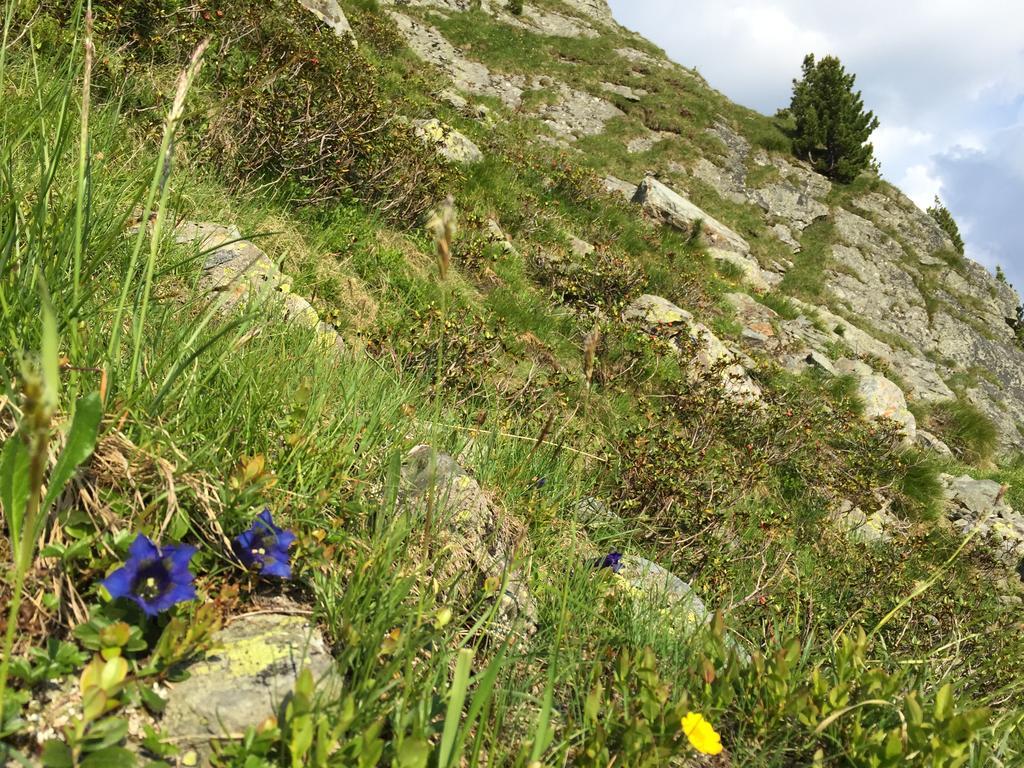 Das Alpbach Juwel Exterior photo
